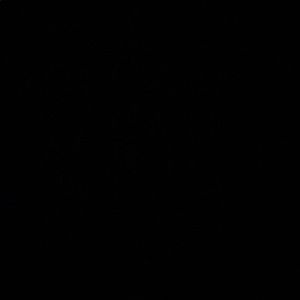 Meet your Posher, Ellie